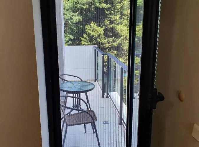 за гости ,,1в-15